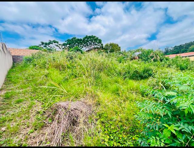 LAND FOR SALE IN RIDGEVIEW